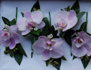 Pink Phalaenopsis and ivy buttonhole